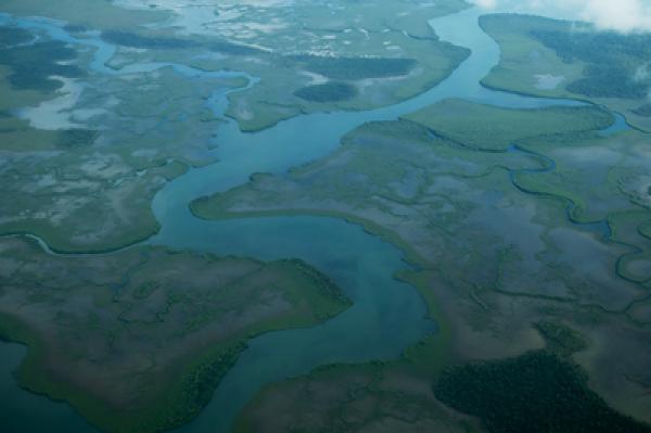 Environment & Sustainability Program